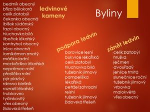 ledviny, onemocnění, nemoci, zánět, ledvin, močové, ledvinové, kameny, kaménky, ledvinová kolika