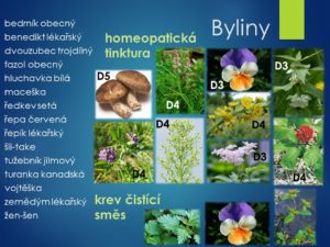 metabolismus, látková výměna, přeměna, čištění krve, očistná kůra