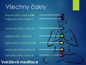 látková výměna, přeměna, čištění krve, očistná kůra