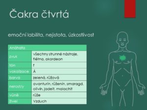 srdce, srdeční, onemocnění, nemoci, obtíže, zánět, infarkt, angina pectoris, ischemická choroba, tachykardie, bradykardie, bušení srdce