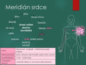 srdeční, onemocnění, nemoci, obtíže, zánět, infarkt, angina pectoris, ischemická choroba, tachykardie, bradykardie, bušení srdce