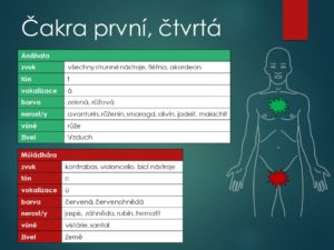 hypertenze, srdce, cévy, kornatění