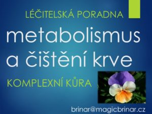 metabolismus